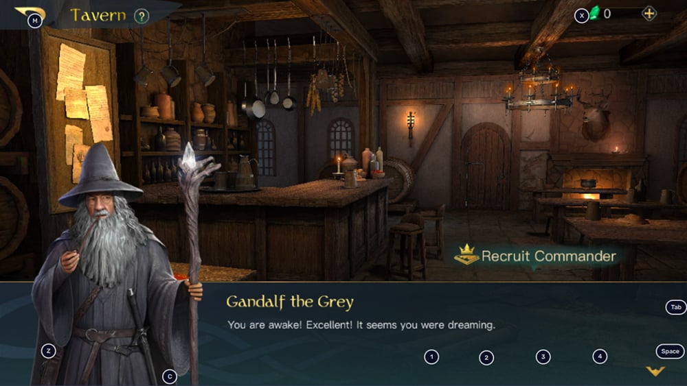 lotr gandalf the grey