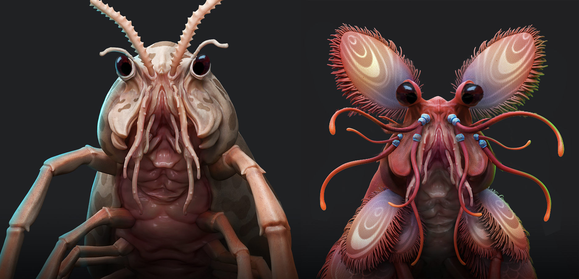 STFC: Torvath